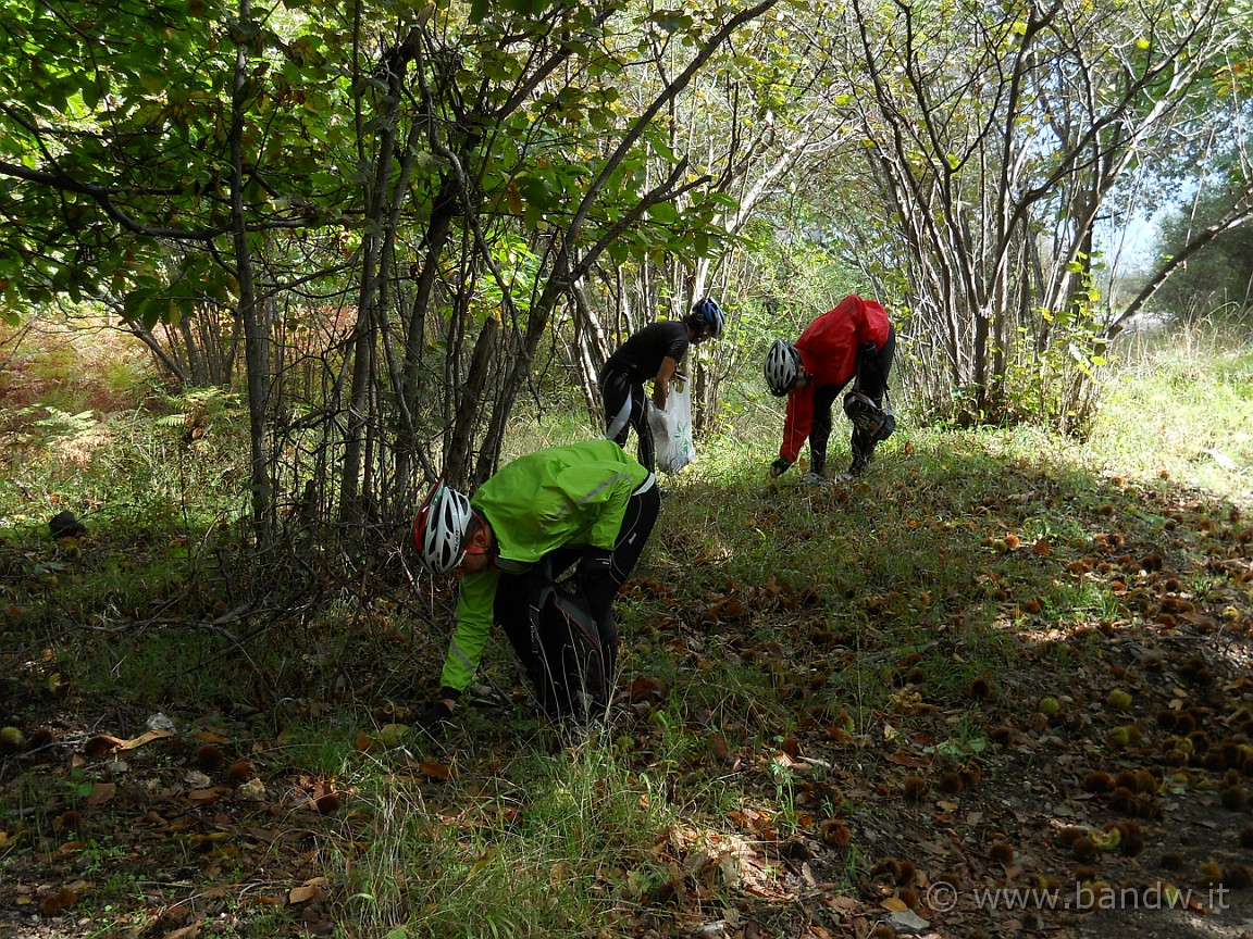 DSCN8248.JPG -           