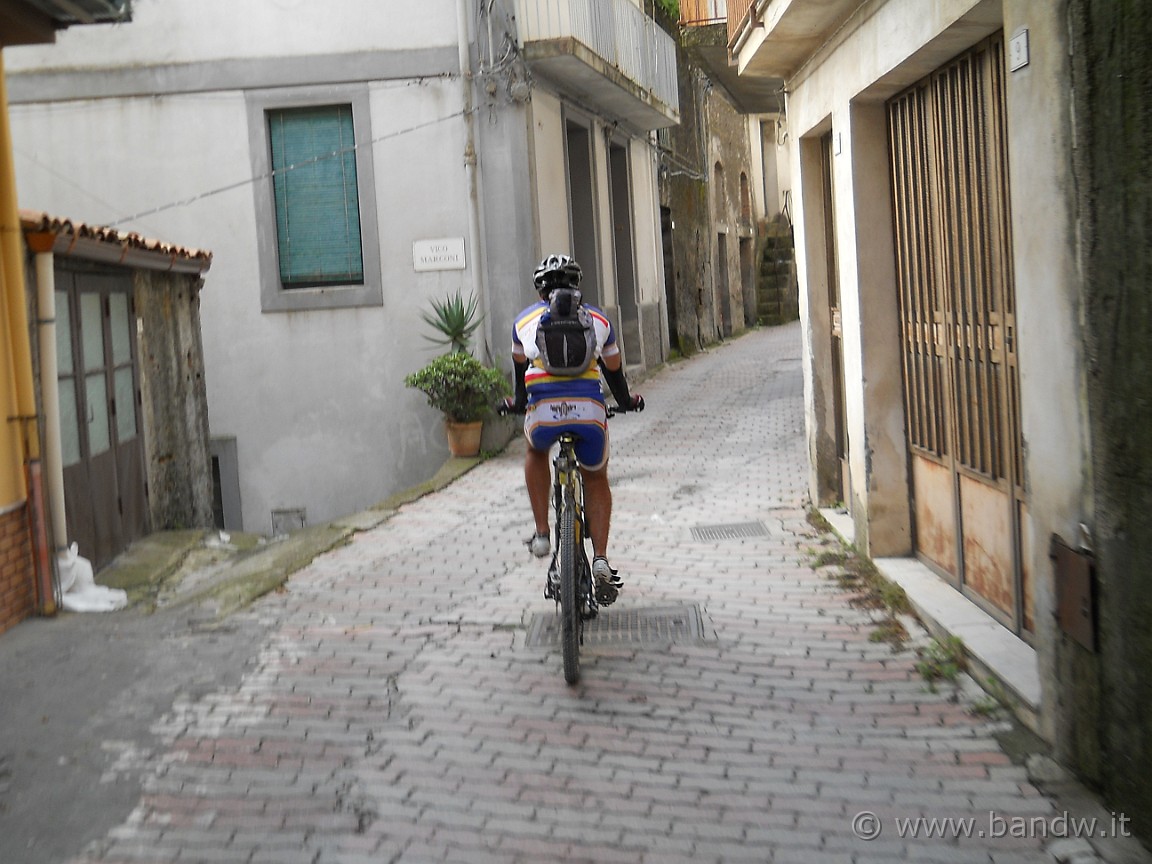 DSCN8264.JPG -           