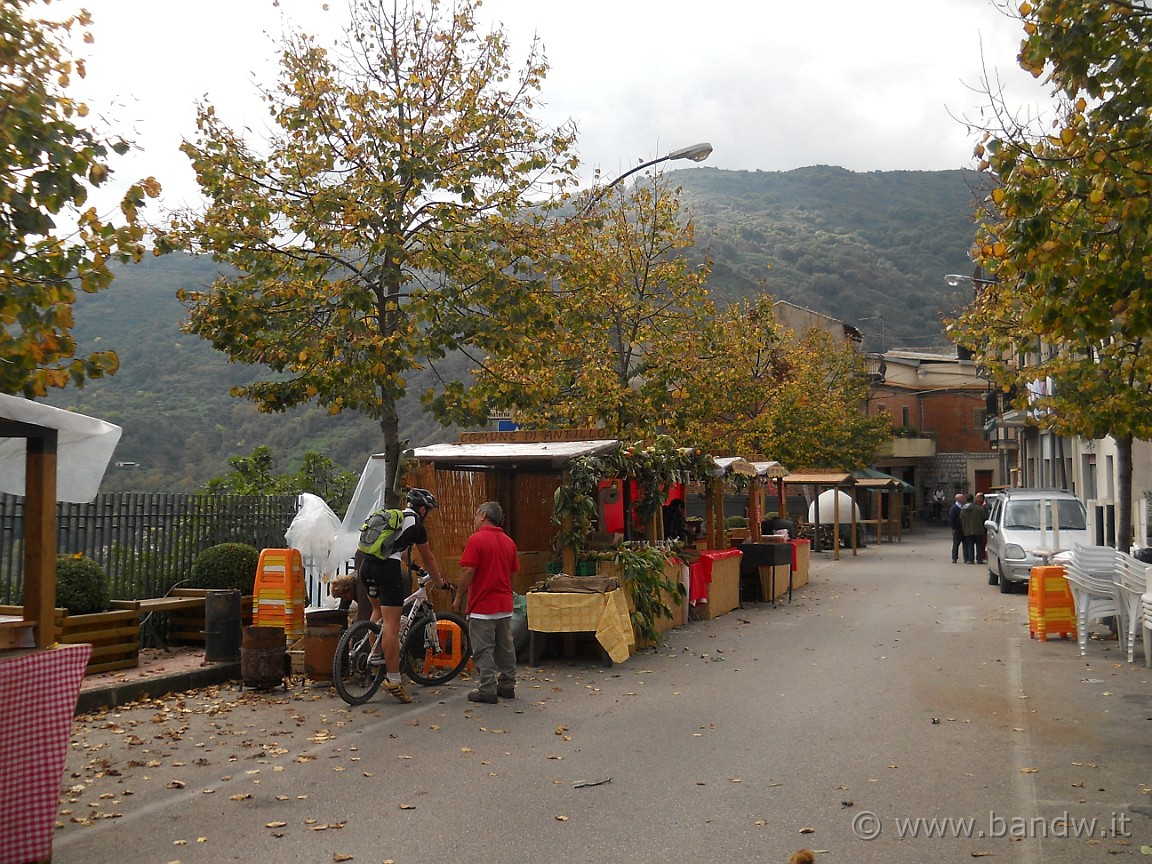 DSCN8265.JPG -           