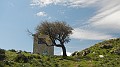 DSCN0727