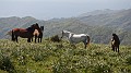 DSCN0733