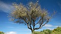 DSCN0736