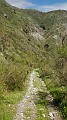 DSCN0750