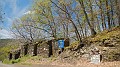 DSCN0753
