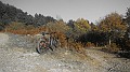 DSCN6939