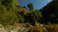 DSCN6964