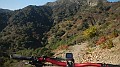 DSCN6979