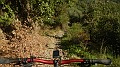 DSCN6980