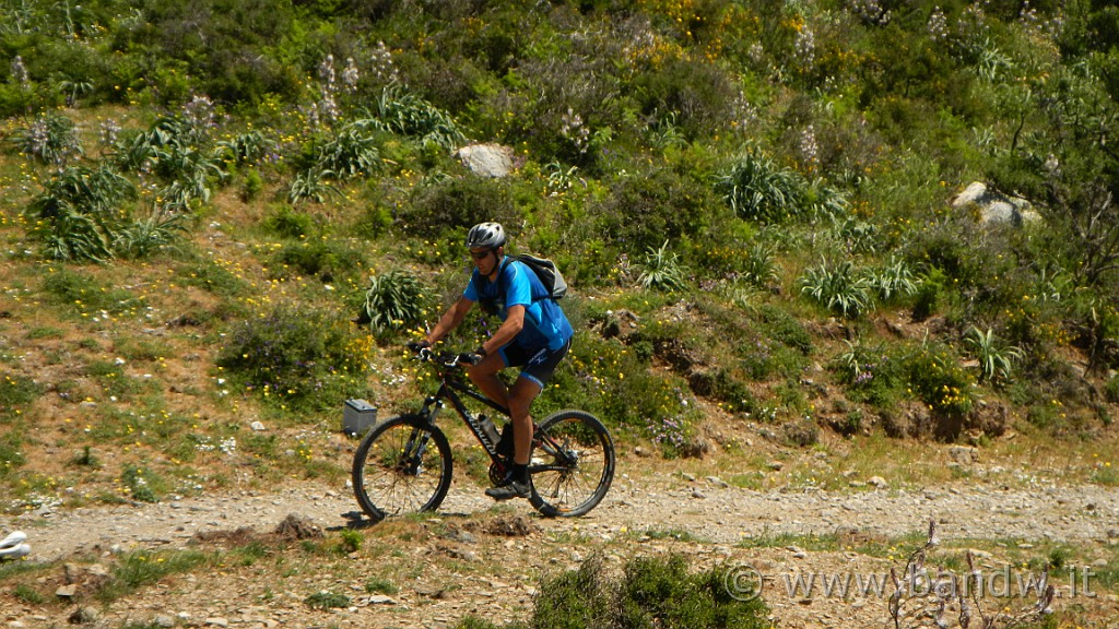 DSCN9235.JPG -                                