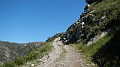 DSCN9207