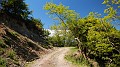 DSCN9225