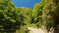 DSCN9286