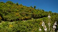 DSCN9289