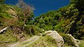 DSCN9296