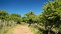 DSCN9299