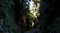 DSCN9306