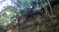 DSCN9311