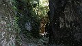 DSCN9316