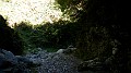 DSCN9317