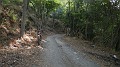 DSCN6590