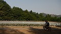 DSCN6595