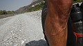 DSCN6625