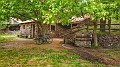P_20210529_091712-01