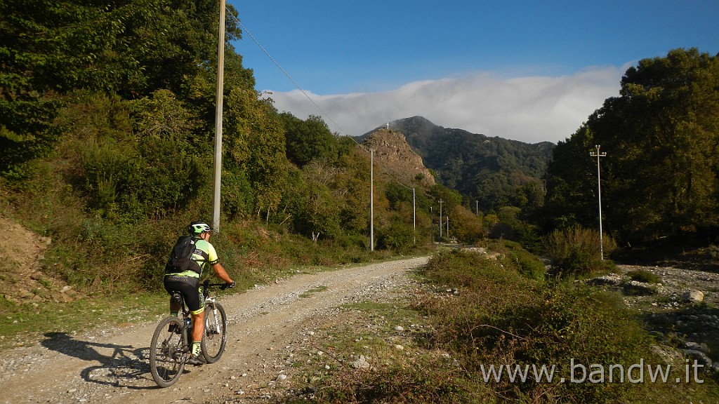 DSCN7740.JPG -                                