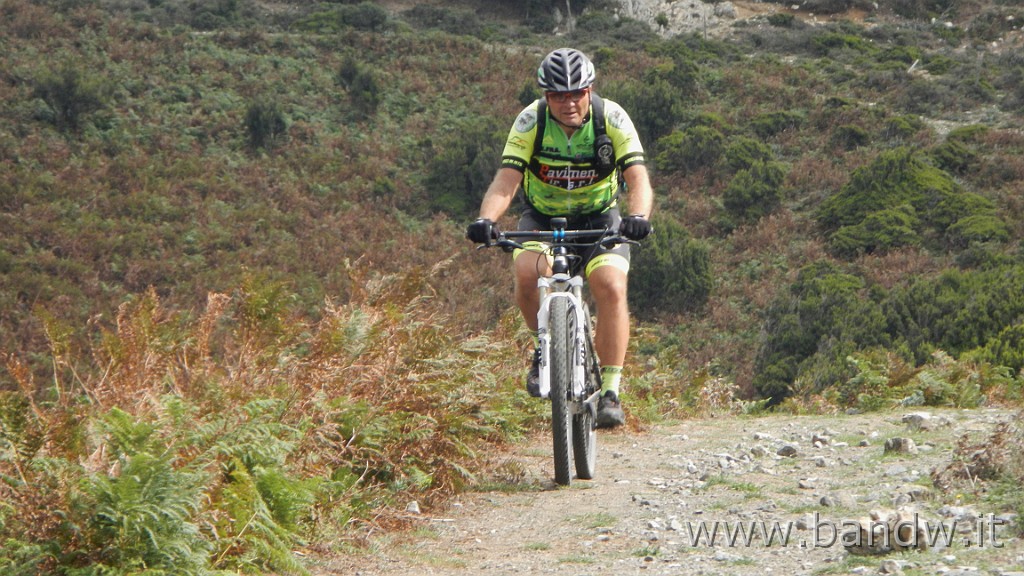 DSCN7794.JPG -                                