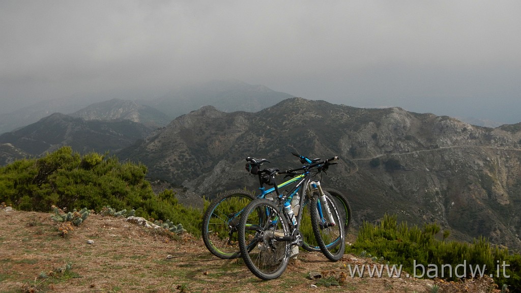 DSCN7798.JPG -                                