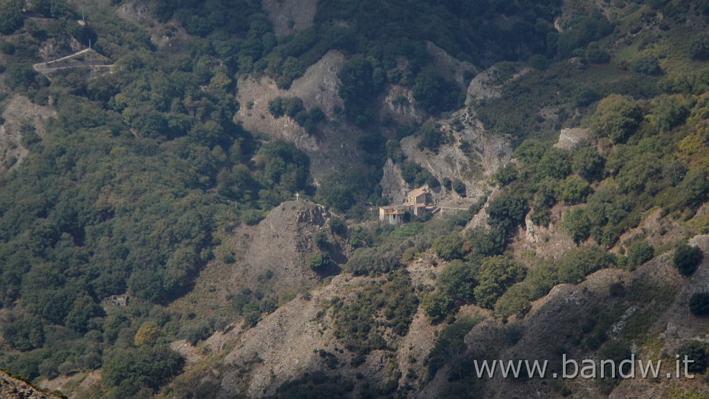 DSCN7805.JPG -                                