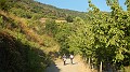 DSCN3995