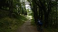DSCN7335