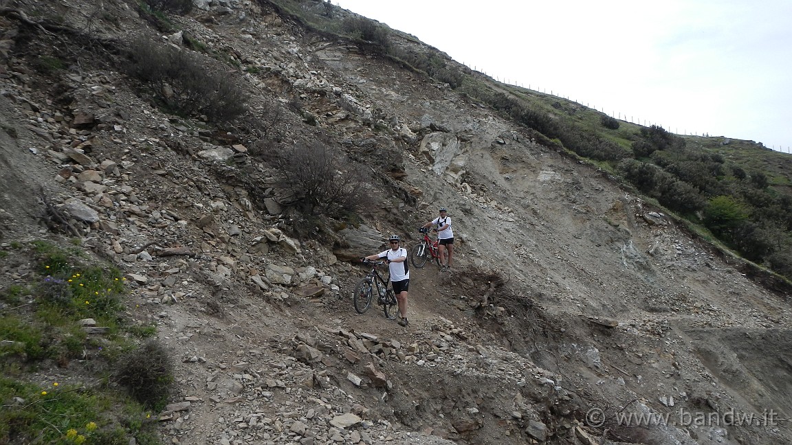 DSCN2646.JPG -                                
