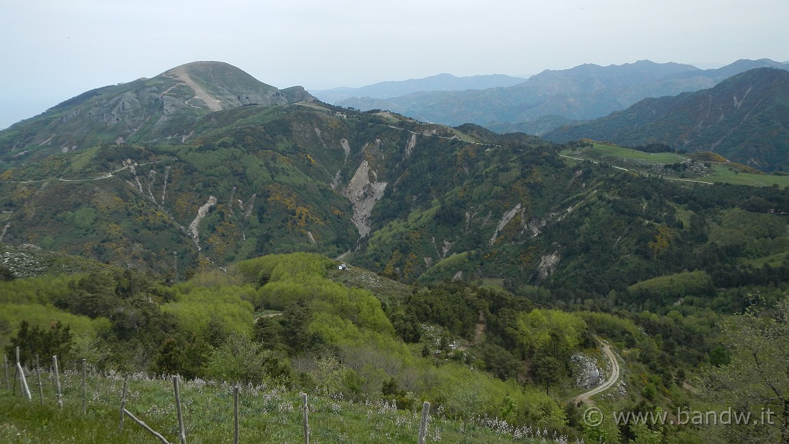 DSCN2712.JPG -                                