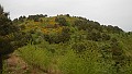 DSCN2655