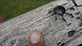 DSCN2671