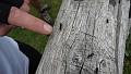 DSCN2672