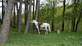 DSCN2684