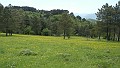 DSCN2727