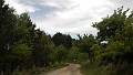 DSCN2732