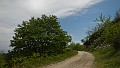 DSCN2739