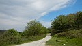 DSCN2743