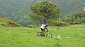 DSCN3011