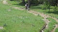DSCN3028