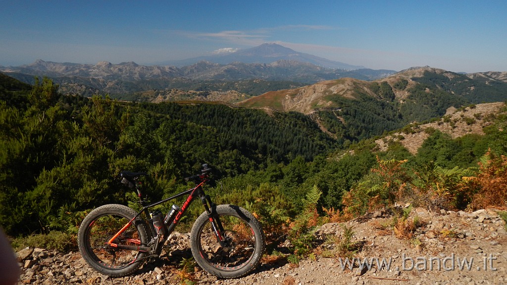 DSCN8522.JPG -                                