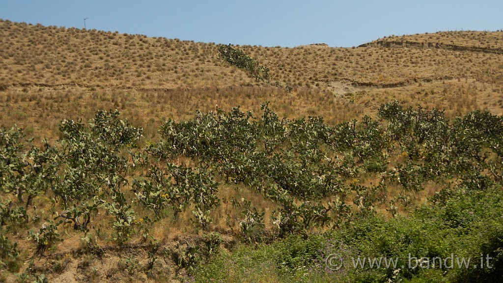 DSCN9346.JPG -                                