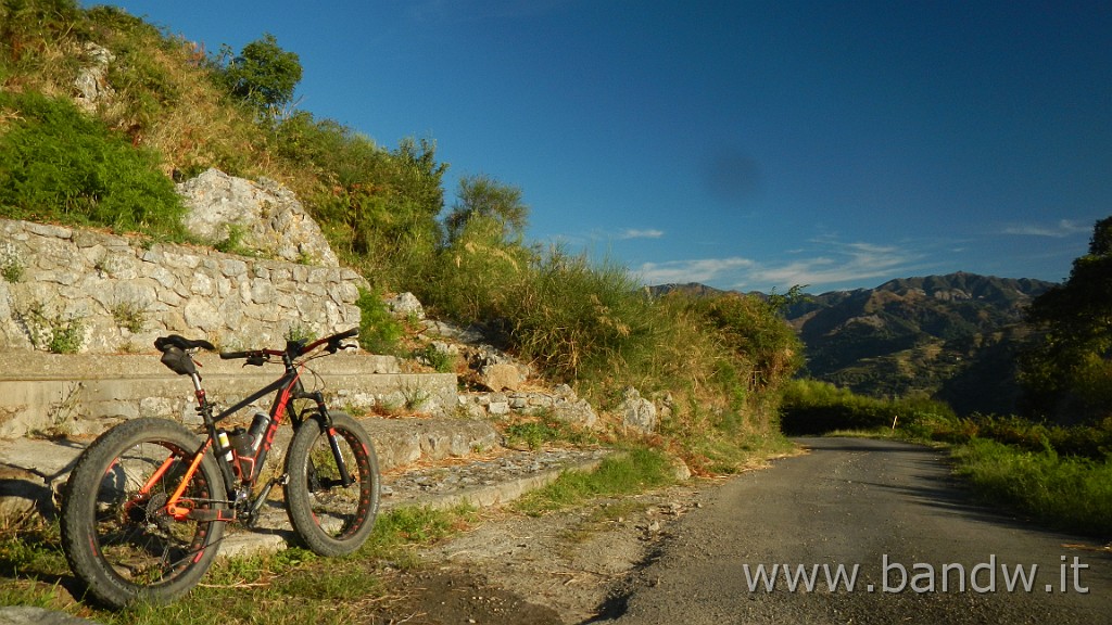 DSCN8482.JPG -                                