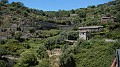 DSCN9337