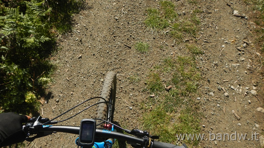 DSCN4821.JPG - Peloritani - Su e giÃ¹ per i monti